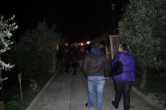 img_1262464480_96