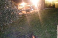 img_1262464516_275