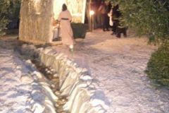 img_1262465136_75