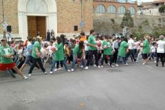 img_1305959098_954