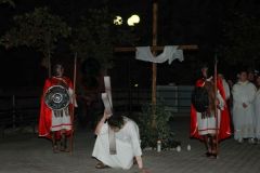 img_1335986971_8