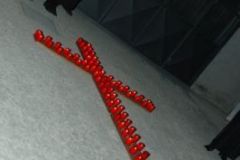 img_1335986997_504