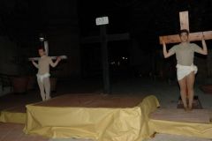 img_1335987174_537